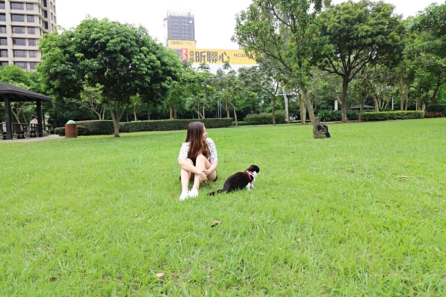 與仙喵在公園思考人生(偷看帥哥?)