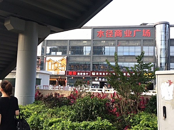 一花一世界