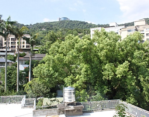 天母七段獨棟美廈.黃金歲月.戶數單純.屋況佳.有車位 - Image 1
