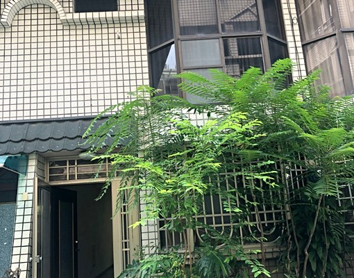 澄清湖畔仁慈路高檔社區 - Image 2