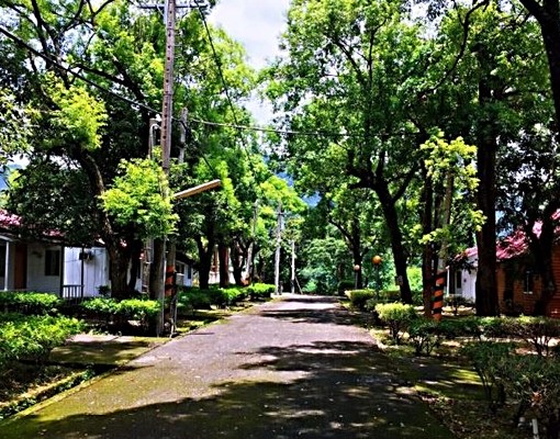 靈修、養生、工程的平價小木屋(佔地廣) - Image 11