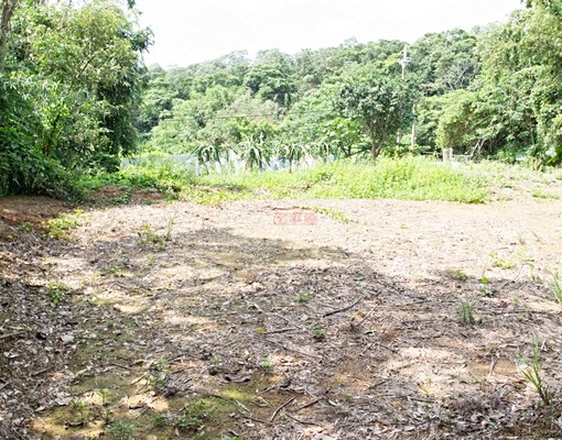 永慶\\*鴻銘不動產店長推\\*三峽風水寶地\\*丁