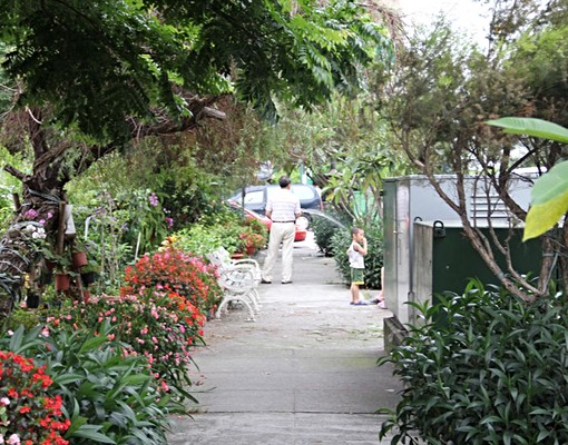 綠意居家民宿風情可租屋補助 - Image 2
