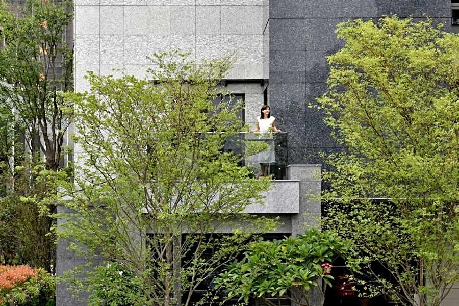 在陽台就能欣賞滿滿綠意。