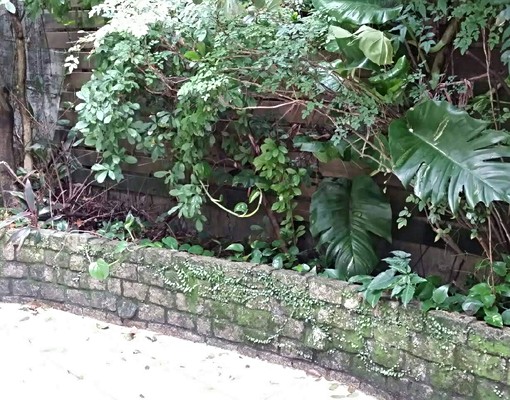 可租補溫馨套房*近中研院，南港展覽館，南軟* - Image 1