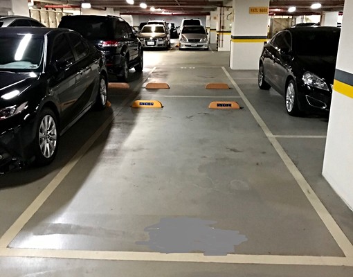 南港力麒村上爵士坡平大車位出租(含管理費) - Image 3