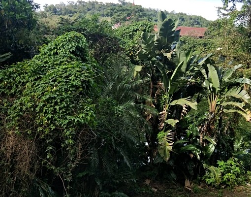 超大一房一廳獨立套房 - Image 3