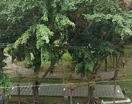 🍎🍎🍎可租補🍎🍎逢甲公園對面正4房傢俱家電車位全配 - Image 9