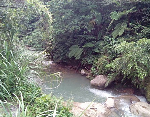 物件圖片