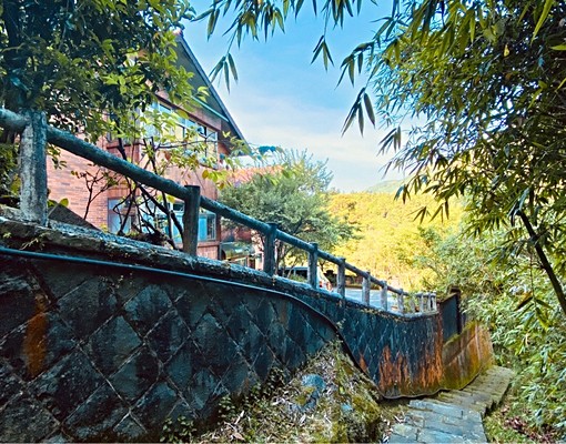 文化大學別墅套房，竹子湖海芋 - Image 6