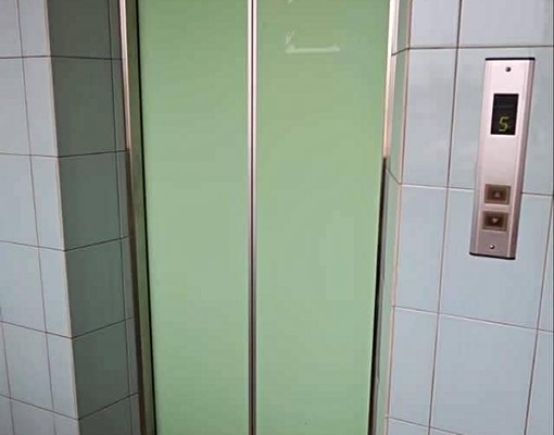 斗六後站可以租屋補貼養寵物 - Image 5