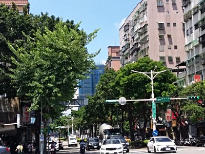 台北市40坪:1樓4米高+B1+庭院車位