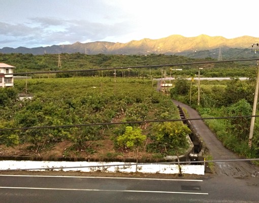 楠西優質套房出租:房客為公教單純優質 - Image 4