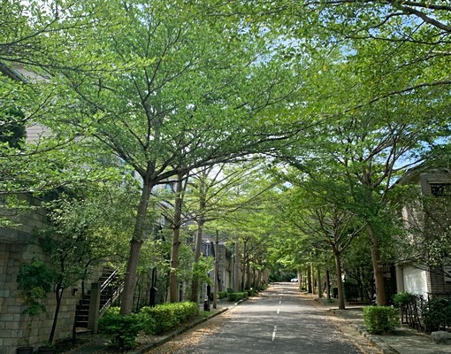 LotusVilla@聯華山莊@美式別墅社區 - Image 1