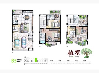 社區格局圖