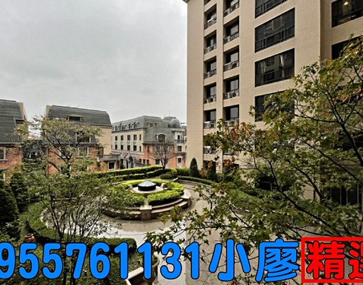 ★精選★廣豐桃大悅園超美三房車,立可入住 - Image 15