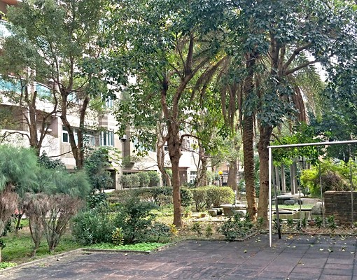 新店安康路雅房近景文包水電洗澡瓦斯管理費 - Image 19