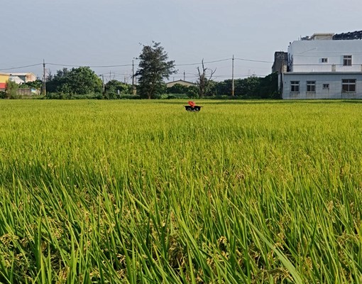 橋頭市區套房-安靜-停車/進出/交通方便 - Image 8