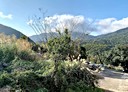 士林區-菁山路土地，3556.9坪