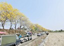 太保市-嘉61土地，1618坪