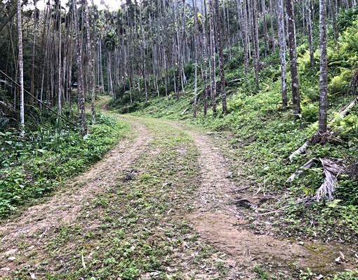 近捷運三鶯線橫溪站臨路大型農地\\*\\*機會難得!\\*\\*