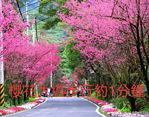 捷運鄧公站走1分獨陽台地下室有外窗可租補 - Image 12
