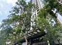 西屯區-惠中路一段4房2廳，90坪
