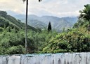 三峽區-詩朗路土地，994.6坪