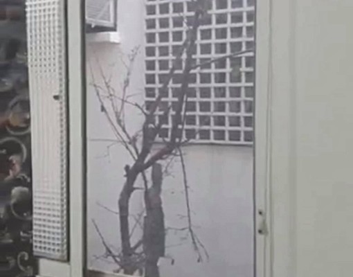 分租套房.清華大學.交通大學.科學園區旁 - Image 2