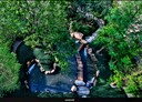 北屯區-南興北二路3房2廳，46.4坪