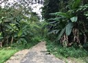 斗六市-楓湖路土地，4025.3坪