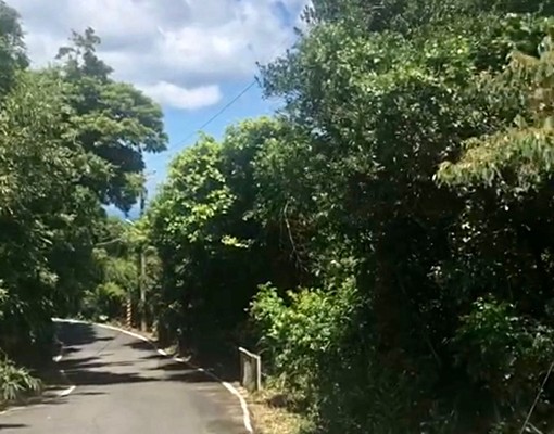 【住商北極星】瑞芳10甲農牧用地