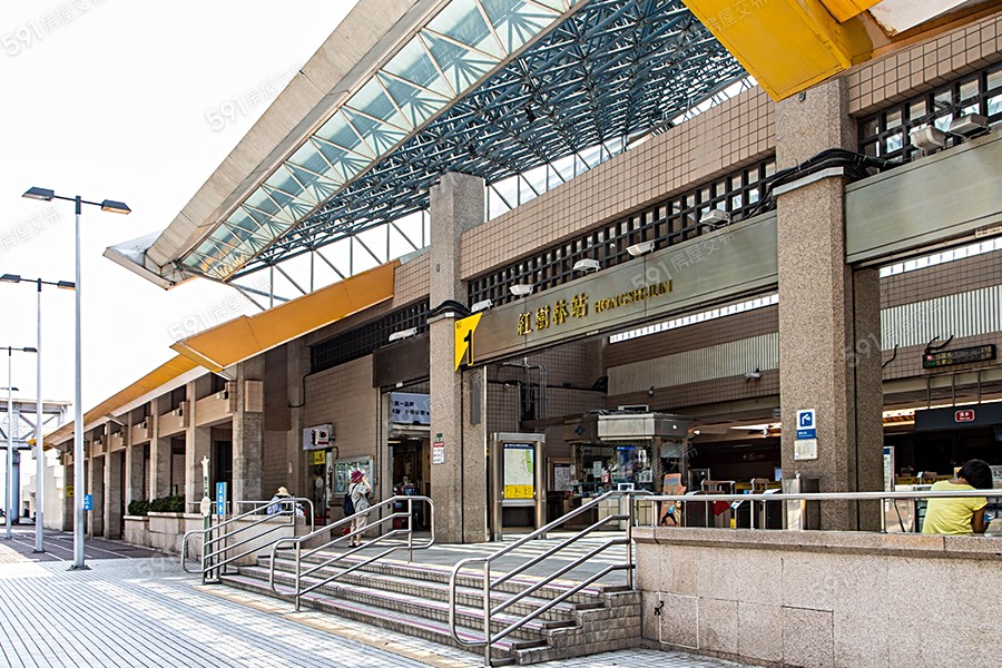 湯泉紅樹林環境圖