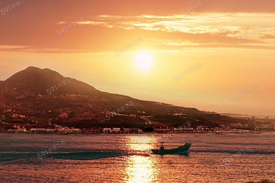 湯泉紅樹林環境圖