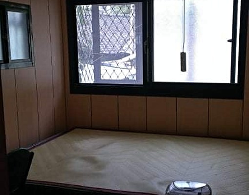 靜巷空氣好適合學生上班族 - Image 4