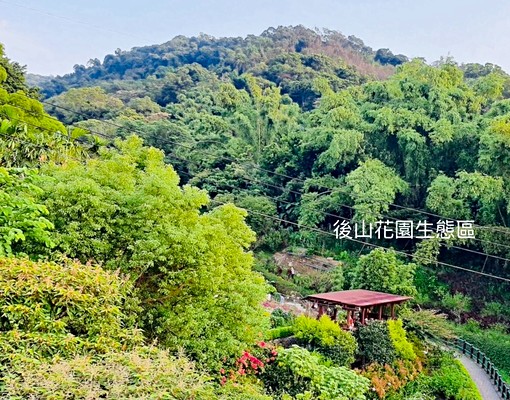 景觀溫馨共享公寓/雙人雅房/附家電 - Image 12