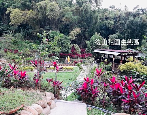 景觀溫馨共享公寓/雙人雅房/附家電 - Image 14