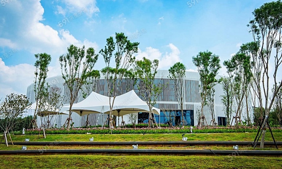 大愛金川-透天環境圖