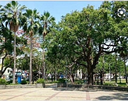 嘉大興嘉公園大陽台套房新傢俱家電 - Image 9
