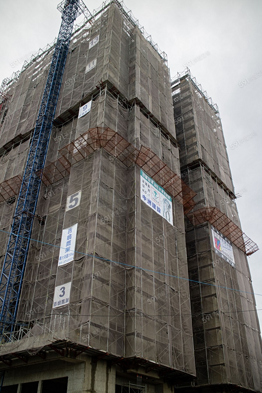 中洲種子聖殿實景圖