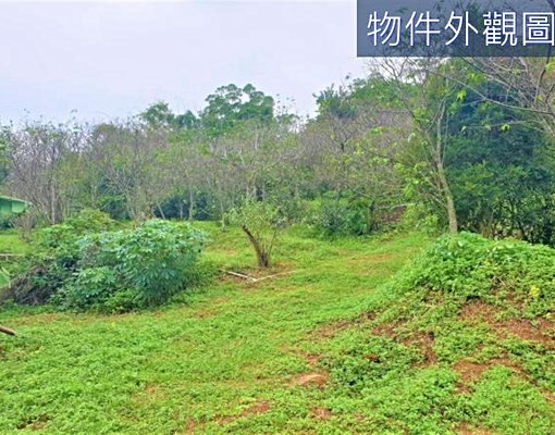 物件圖片
