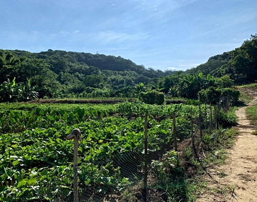 台61東華球場旁農地0932094901張副店