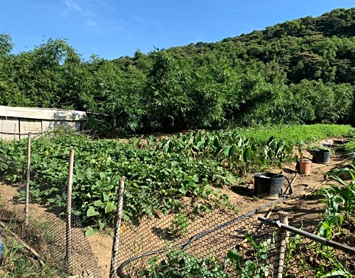 物件圖片
