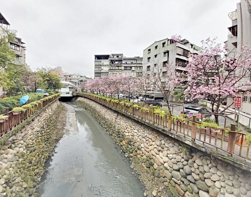 海山捷運旁出站到家全新裝潢邊間採光佳二房季繳優惠划算唯美頂加 - Image 12