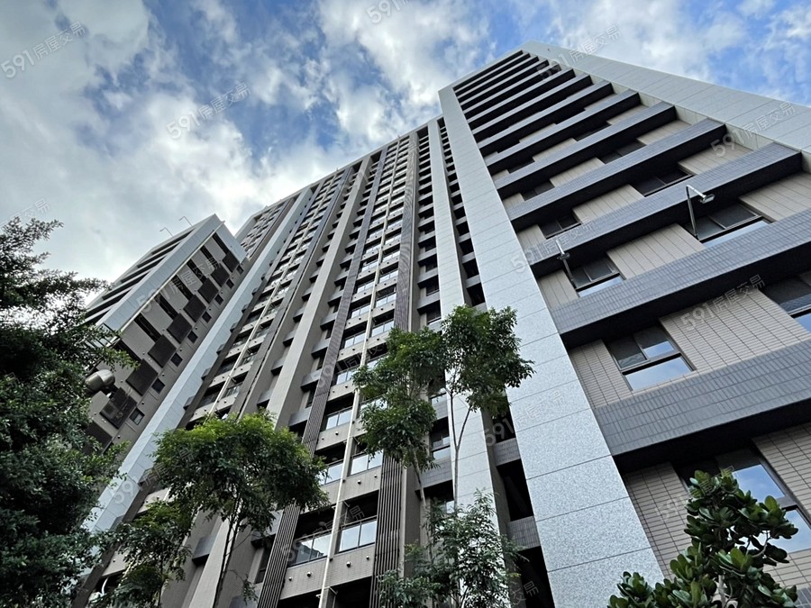 新板艾麗實景圖