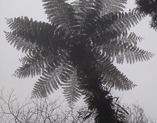 溪頭長住渡假養生 - 591租屋網 - Image 12