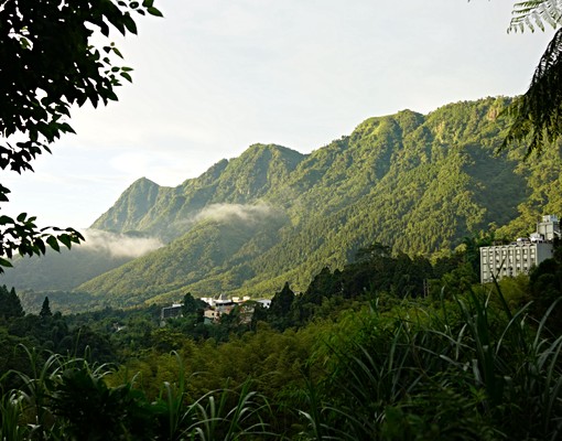 溪頭長住渡假養生 - Image 10