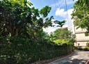 樹林區-柑園街二段土地，101.2坪