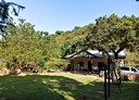 竹山鎮-中坑路廠房，46.9坪