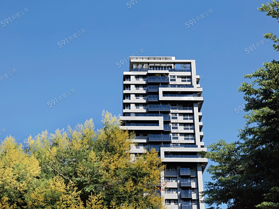 聯上天母實景圖